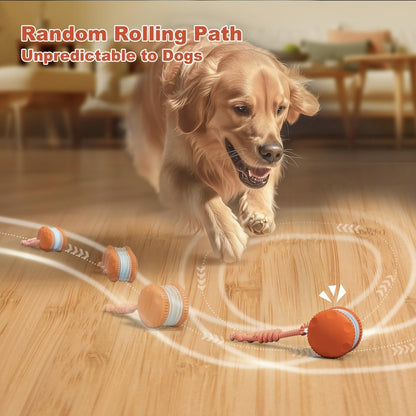 80%🎁Motion-Activated Interactive Dog Toy — Keeps Dogs Busy & Happy