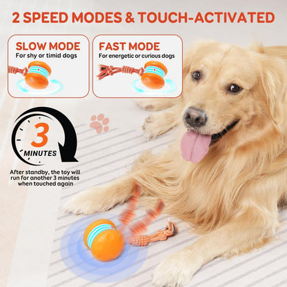 80%🎁Motion-Activated Interactive Dog Toy — Keeps Dogs Busy & Happy