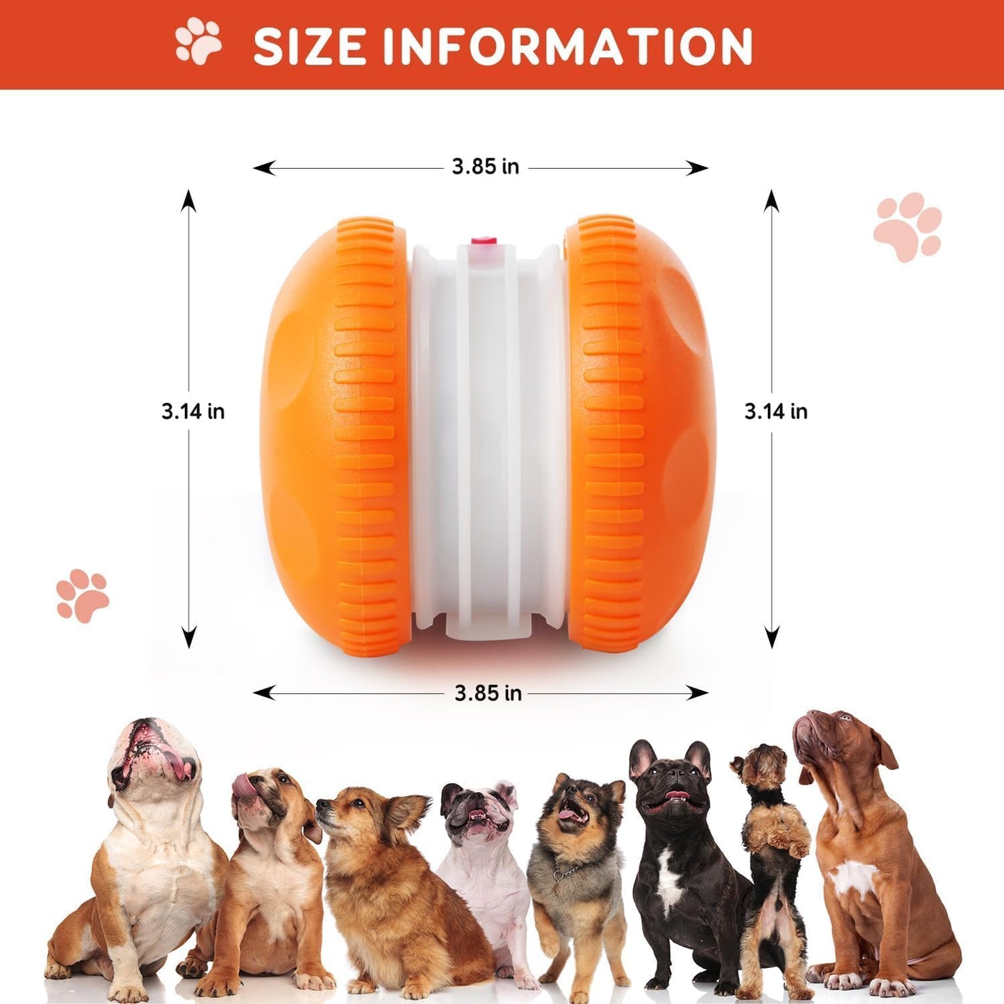 80%🎁Motion-Activated Interactive Dog Toy — Keeps Dogs Busy & Happy