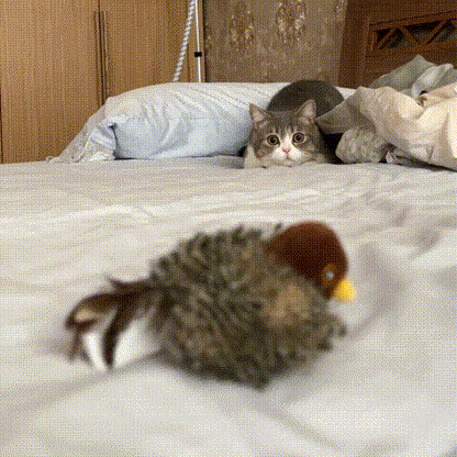🔥2026 Special 70% OFF💡YoPoll Interactive Chirping Bird Cat Toy